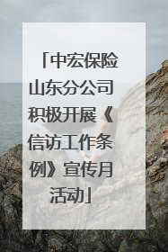 中宏保险山东分公司积极开展《信访工作条例》宣传月活动