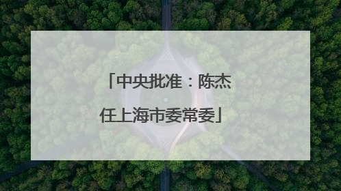 中央批准：陈杰任上海市委常委