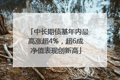 中长期债基年内最高涨超4%，超6成净值表现创新高