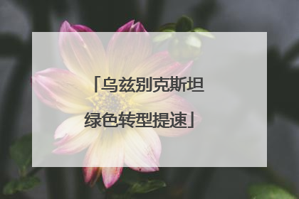 乌兹别克斯坦绿色转型提速