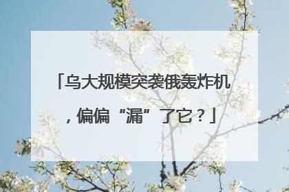 乌大规模突袭俄轰炸机，偏偏“漏”了它？