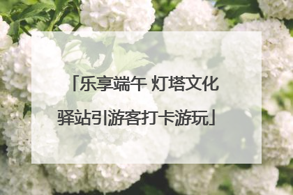 乐享端午 灯塔文化驿站引游客打卡游玩