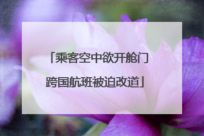 乘客空中欲开舱门 跨国航班被迫改道