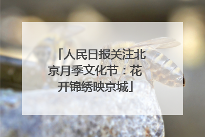 人民日报关注北京月季文化节：花开锦绣映京城