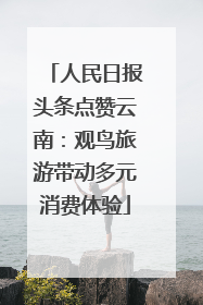 人民日报头条点赞云南：观鸟旅游带动多元消费体验