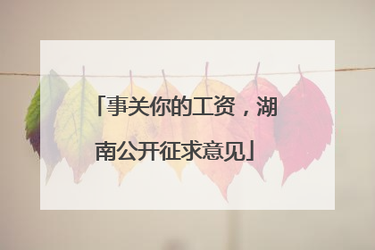 事关你的工资，湖南公开征求意见