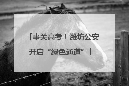 事关高考！潍坊公安开启“绿色通道”