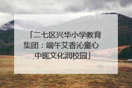 二七区兴华小学教育集团：端午艾香沁童心 中医文化润校园