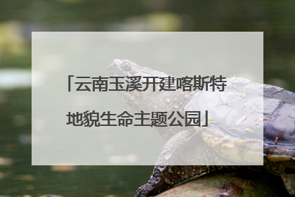 云南玉溪开建喀斯特地貌生命主题公园