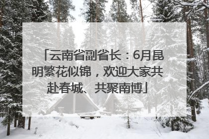 云南省副省长：6月昆明繁花似锦，欢迎大家共赴春城、共聚南博