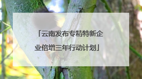 云南发布专精特新企业倍增三年行动计划