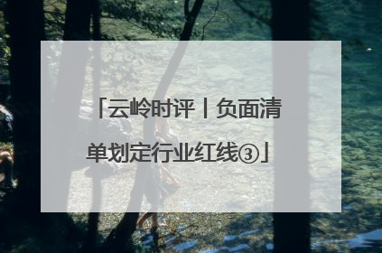 云岭时评丨负面清单划定行业红线③