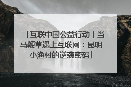 互联中国公益行动丨当马鞭草遇上互联网：昆明小渔村的逆袭密码