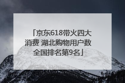 京东618带火四大消费 湖北购物用户数全国排名第9名
