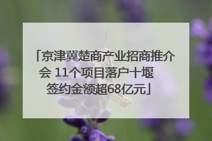 京津冀楚商产业招商推介会 11个项目落户十堰 签约金额超68亿元
