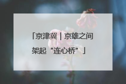 京津冀｜京雄之间架起“连心桥”