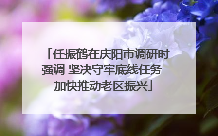 任振鹤在庆阳市调研时强调 坚决守牢底线任务 加快推动老区振兴