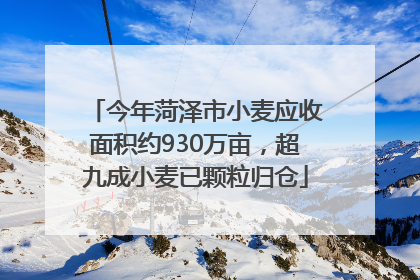 今年菏泽市小麦应收面积约930万亩，超九成小麦已颗粒归仓