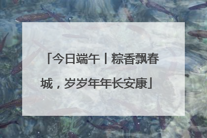 今日端午丨粽香飘春城，岁岁年年长安康
