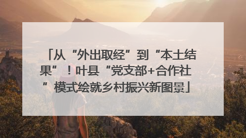 从“外出取经”到“本土结果”！叶县“党支部+合作社”模式绘就乡村振兴新图景