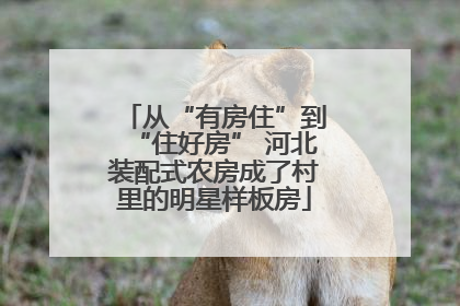 从“有房住”到“住好房” 河北装配式农房成了村里的明星样板房