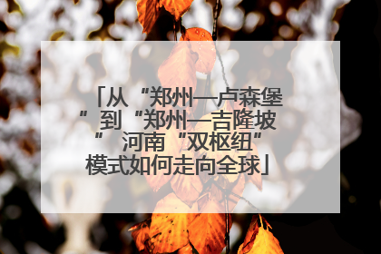 从“郑州—卢森堡”到“郑州—吉隆坡” 河南“双枢纽”模式如何走向全球