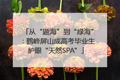 从“题海”到“绿海”：鹤峰屏山成高考毕业生护眼“天然SPA”