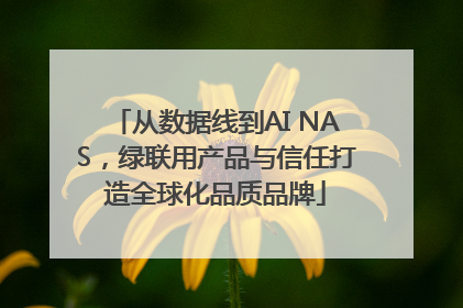 从数据线到AI NAS，绿联用产品与信任打造全球化品质品牌