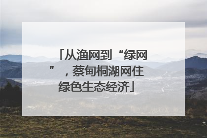 从渔网到“绿网”，蔡甸桐湖网住绿色生态经济