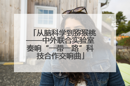 从脑科学到猕猴桃——中外联合实验室奏响“一带一路”科技合作交响曲