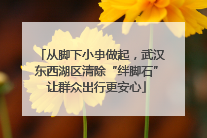 从脚下小事做起，武汉东西湖区清除“绊脚石”让群众出行更安心