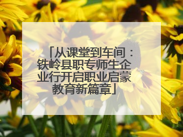 从课堂到车间：铁岭县职专师生企业行开启职业启蒙教育新篇章