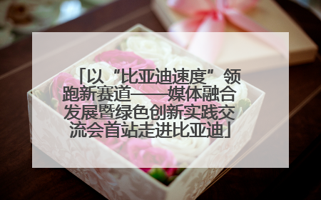 以“比亚迪速度”领跑新赛道——媒体融合发展暨绿色创新实践交流会首站走进比亚迪
