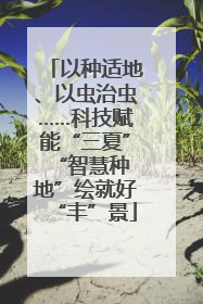 以种适地、以虫治虫……科技赋能“三夏” “智慧种地”绘就好“丰”景
