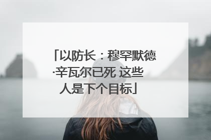 以防长：穆罕默德·辛瓦尔已死 这些人是下个目标
