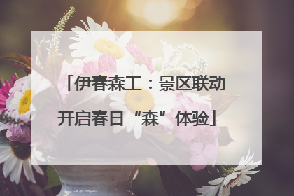伊春森工：景区联动开启春日“森”体验