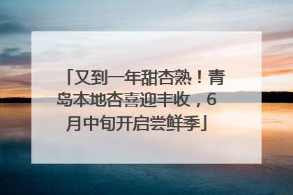 又到一年甜杏熟！青岛本地杏喜迎丰收，6月中旬开启尝鲜季