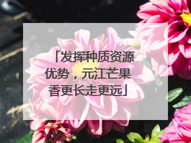 发挥种质资源优势，元江芒果香更长走更远