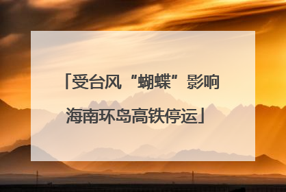 受台风“蝴蝶”影响 海南环岛高铁停运