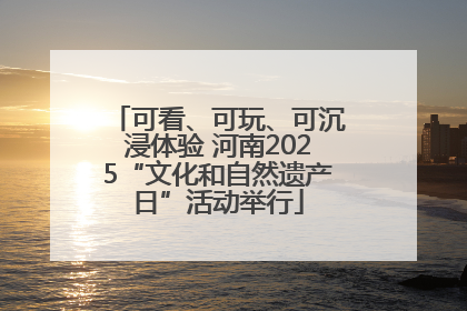 可看、可玩、可沉浸体验 河南2025“文化和自然遗产日”活动举行