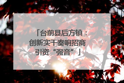 台前县后方镇：创新实干奏响招商引资“强音”