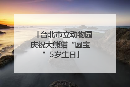 台北市立动物园庆祝大熊猫“圆宝”5岁生日
