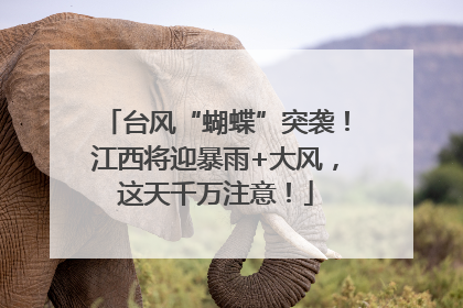 台风“蝴蝶”突袭！江西将迎暴雨+大风，这天千万注意！