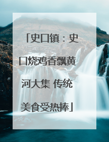 史口镇：史口烧鸡香飘黄河大集 传统美食受热捧