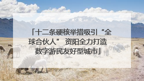 十二条硬核举措吸引“全球合伙人” 资阳全力打造数字游民友好型城市