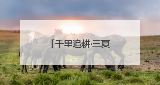 千里追耕·三夏时节丨战三夏保丰收 探索“中原粮仓”里的科技感