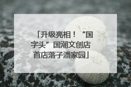 升级亮相！“国字头”国潮文创店首店落子潘家园