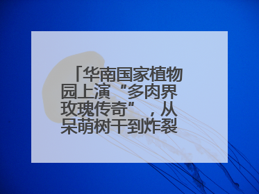 华南国家植物园上演“多肉界玫瑰传奇”，从呆萌树干到炸裂种子全是戏！