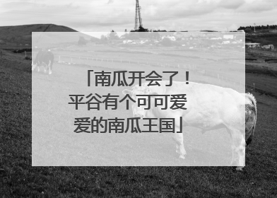 南瓜开会了！平谷有个可可爱爱的南瓜王国