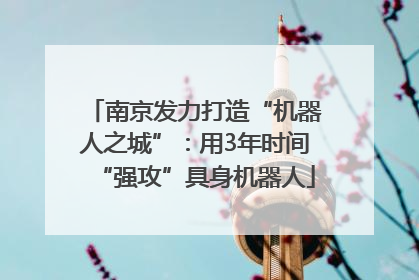 南京发力打造“机器人之城”：用3年时间“强攻”具身机器人